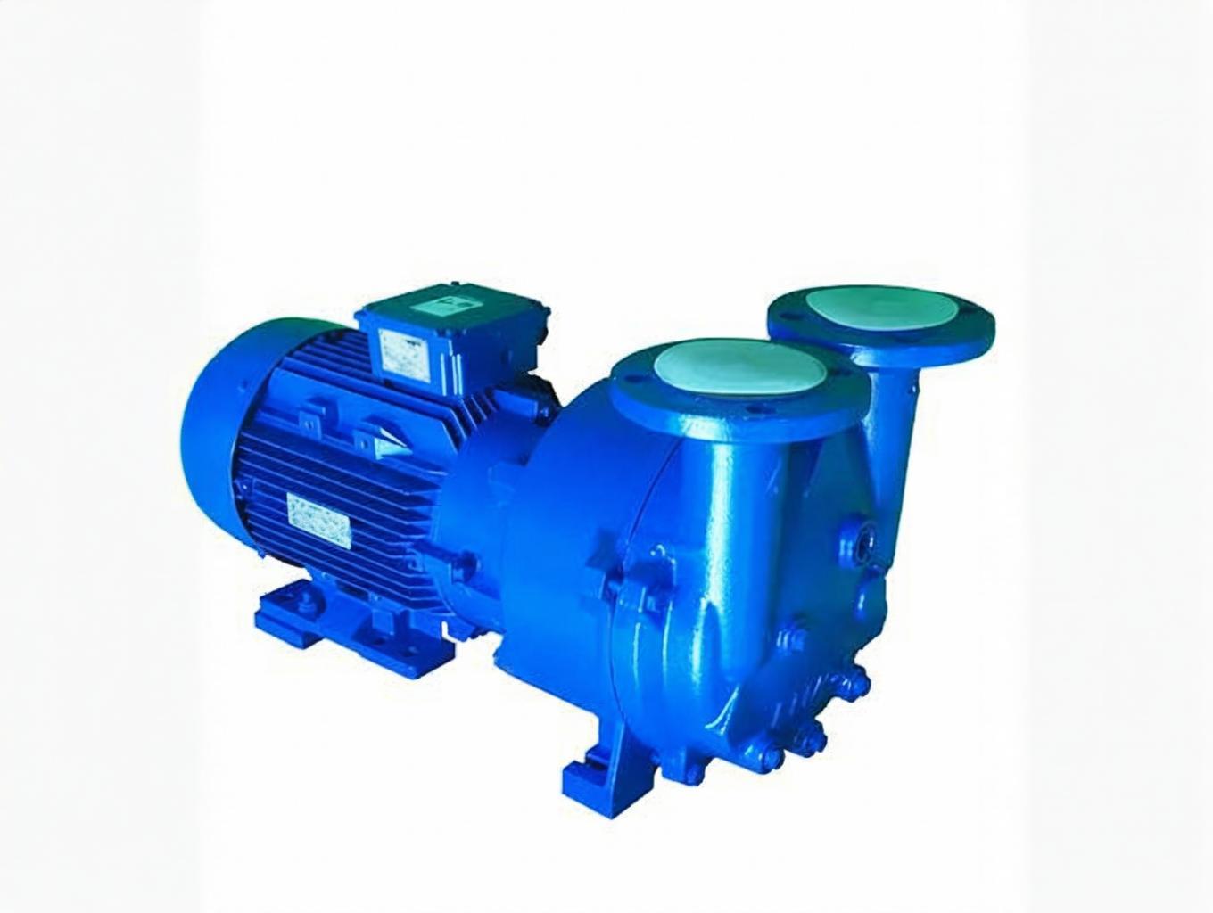 What factors affect the working efficiency of the vacuum pump?